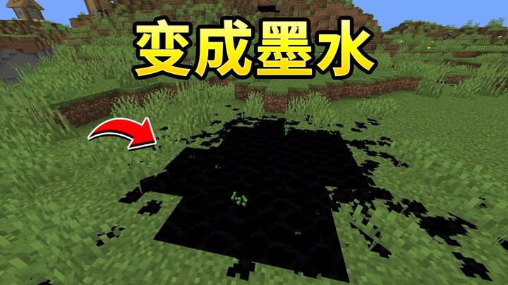 A mod that turns people into ink~