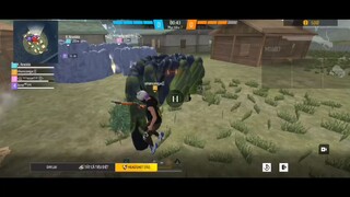 chim sẻ gọi đại bangg