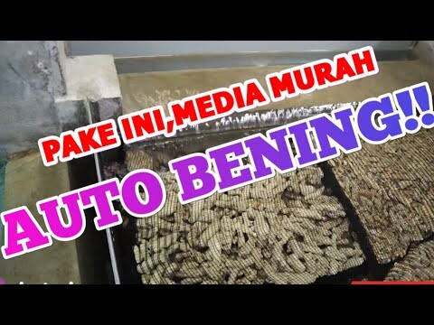RAHASIA FILTERASI AIR BENING CRYSTAL CLEAR!AUTO BENING!!!
