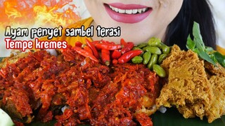 MAKAN AYAM PENYET SAMBEL TERASI, TEMPE KREMES | EATING SOUNDS