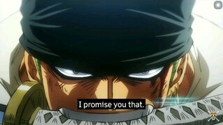 Strawhat members promise