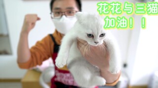 Huahua dan tiga kucing, semangat, segera kembali! Tolak kekerasan daring, mohon jangan ikut-ikutan t