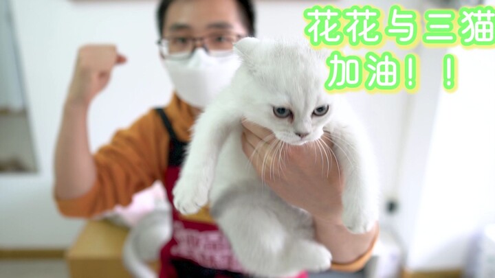 Hoa Hoa và Ba Mèo, cố lên, sớm ngày trở về! Nói không với bạo lực mạng, mọi người đừng a dua theo đá