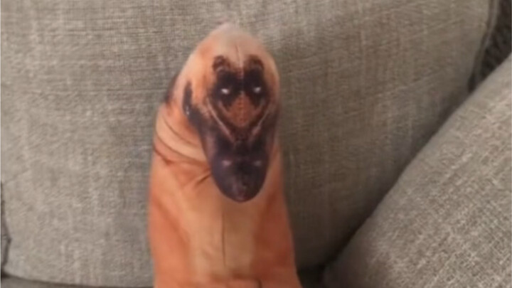 Gối hình chó có thể gần gũi với đời thường, nhưng không thể chạm tới địa ngục được.