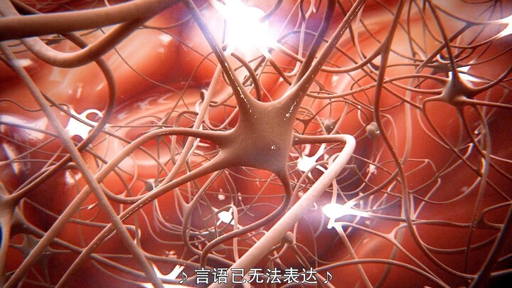 【TBBT】耳朵终于意识到自己脑子里想的念的不只是那首歌，还有他的艾米