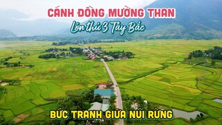Tham quan Cánh Đồng Mường Than lớn thứ 3 Tây Bắc | DU LỊCH LAI CHÂU