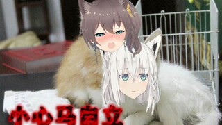 小 心 马 自 立