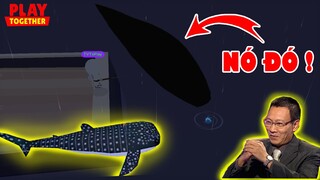 Cách Săn "Cá Nhám Voi" Thành Công 100%, Thời Gian vs Vị Trí Này Auto Lên Cá | Play Together