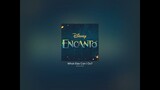 What Else Can I Do - Encanto Cast (Acapella - Vocals Only)