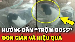 Hướng dẫn cách "TRỘM BOSS" đơn giản mà HIỆU QUẢ của cô gái miền tây 😂 | Yêu Lu