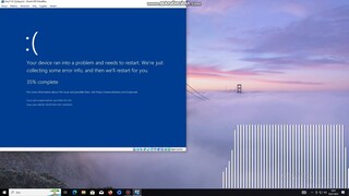 Rasputin Has BSOD VM