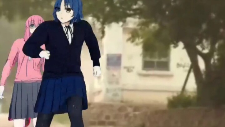 Pochi-chan's Chase