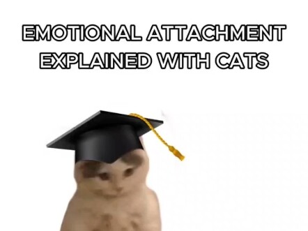 A Kitten Explains What Emotional Dependency Is