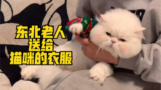 What kind of little clothes would an elderly person from Northeast China give to a cat?