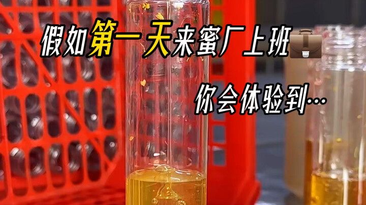 Apa yang akan kamu rasakan jika hari pertama kerja di pabrik madu?