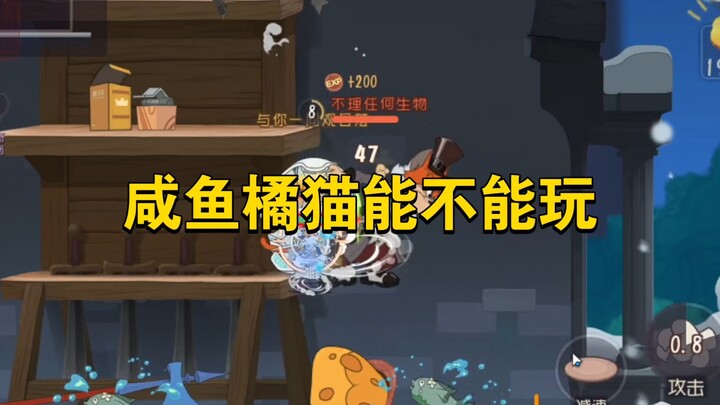 เกมมือถือแมวกับหนู: แมวส้มขี้เกียจเล่นได้ไหม?