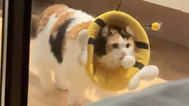 So cute—forgive the world for just two seconds!