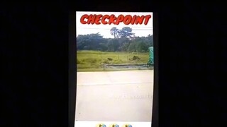 check point hack