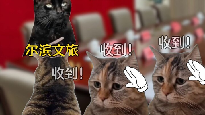 当南方小土豆要来时，东北虎：emmm...我们是东北金渐层～没错