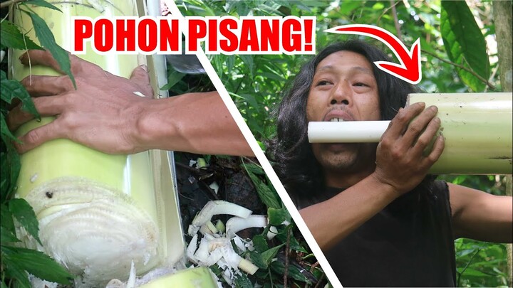 Survival Skills | Makan Pohon Pisang ( Ares Pisang ) Haus Hilang!