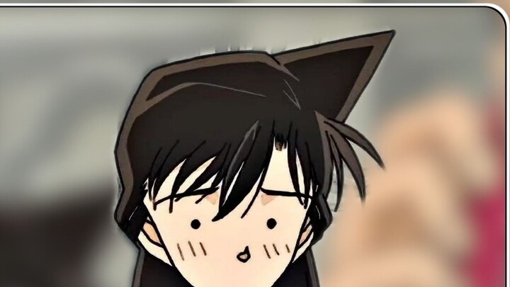 شياولان "الخجولة"