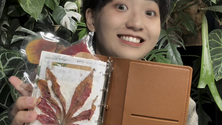 Saat aku ngumpulin segunung material buat buku harian… baru deh siap-siap menyambut musim dingin!!!