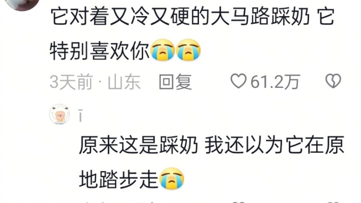 Kucing siapa nih? Bersih banget dan sangat manis!