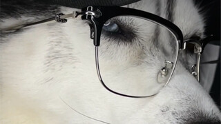 把嘴闭上气质不就出来了