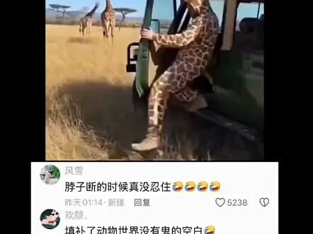 Lấp đầy khoảng trống rằng thế giới động vật không có ma quỷ