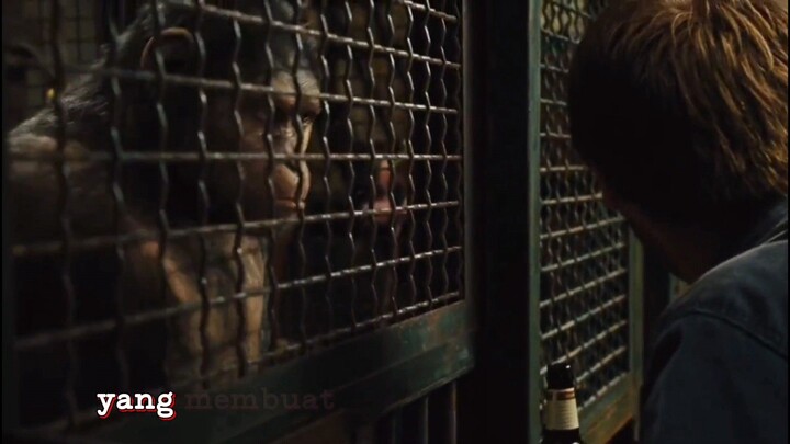 Rise of the planet of the apes | part 2