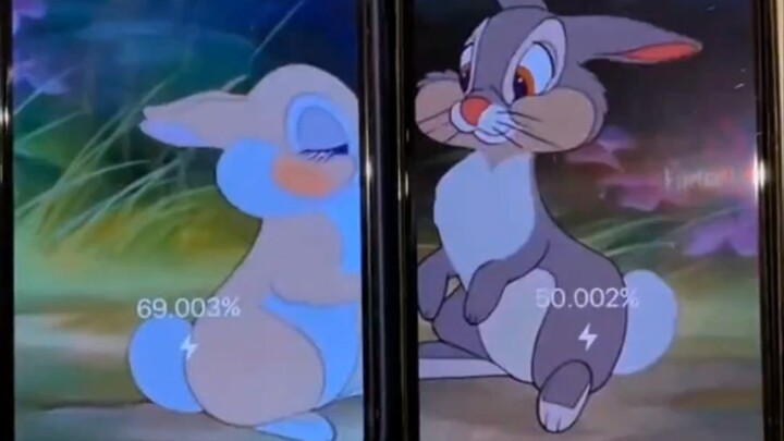 “Fun Couple Dynamic Phone Wallpapers”