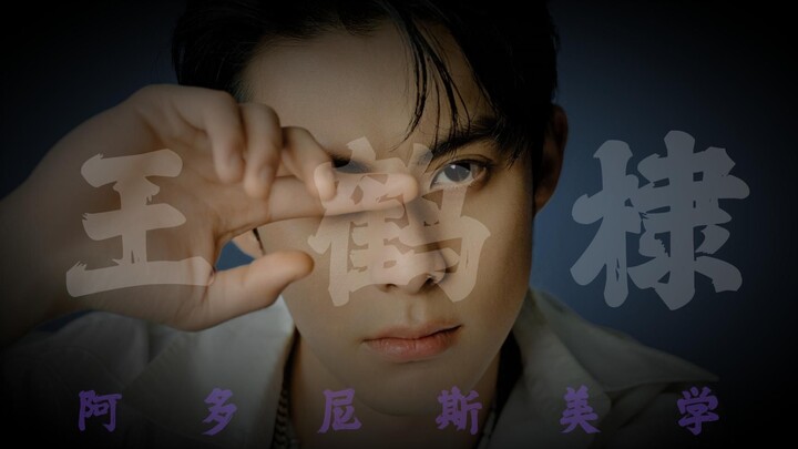 What exactly has changed about Wang Hedi’s face?
