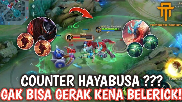 [TA] HAYABUSA TIDAK BISA GERAK KENA BELERICK ? - GAMEPLAY BELERICK