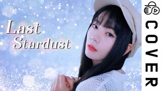 前方高帅，剑鞘神曲《Last Stardust》翻唱