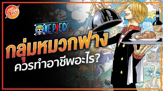ONE PIECE : ถ้ากลุ่มหมวกฟางไม่ได้เป็นโจรสลัด จะทำอาชีพอะไร
