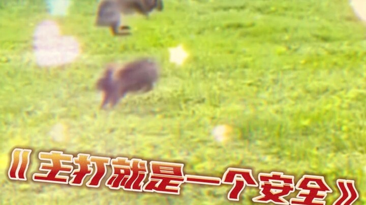 So this is how rabbits fight!