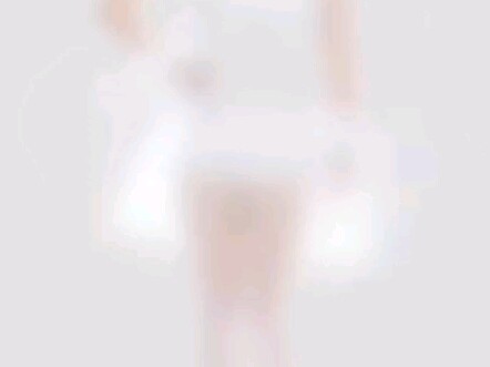 gaya kelinci