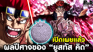 วันพีซ - เปิดเผย ผลปีศาจของ "ยูสทัส คิด" อีกหนึ่งพลังสุดแข็งแกร่ง [KOMNA CHANNEL