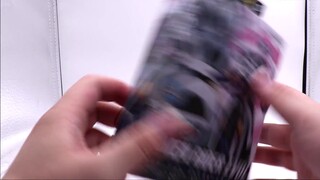 "Hahahaha Tôi sẽ không hủy diệt trái đất nữa!" Kamen Rider RKF Series Kamen Rider Evol Black Hole Fo