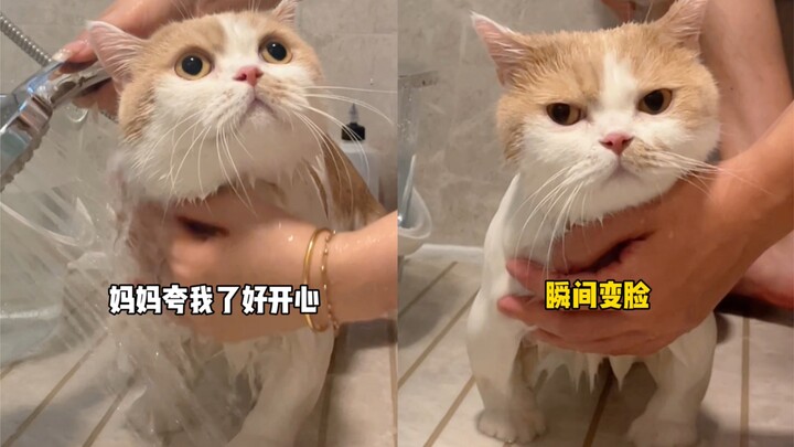The Difference Between Mom and Dad Bathing the Cat