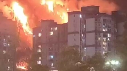 What top-tier square dancing auntie? She probably has a chip implanted in her.