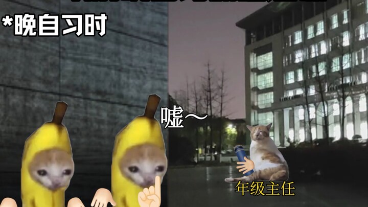 翻墙逃课的那些日子