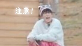 【王鹤棣】注意！有一只美乐棣出逃！看到请扣动物保护协会——谢谢配合！