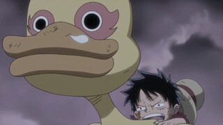 Billy: We two were really good at defeating the legendary pirate Golden Lion!