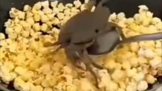 Hairy Crab Popcorn