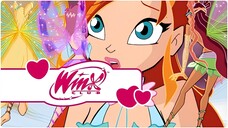 Winx Club - Sezon 3 Bölüm 24 - Cadıların Ortaya Çıkışı