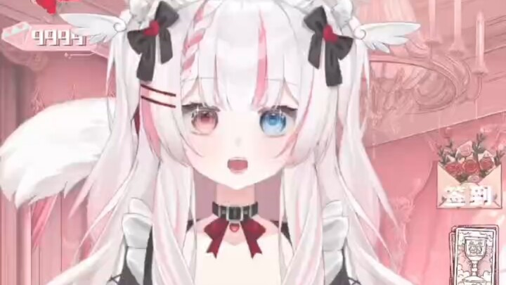 张要领养一只恶魔猫猫嘛？