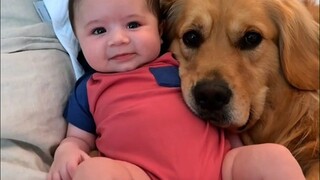 当年养狗的小男孩长大了，而当他的孩子出生以后，就形成了一个完美的闭环