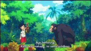 Orang Baik Sedari Kecil "Luffy"