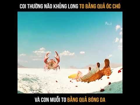 review phim hài Coi thường não khủng long to bằng quả óc chó /review phim vùng đất của người mất